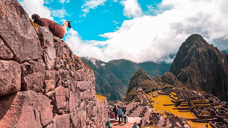 Roteiro de 1 dia em Machu Picchu