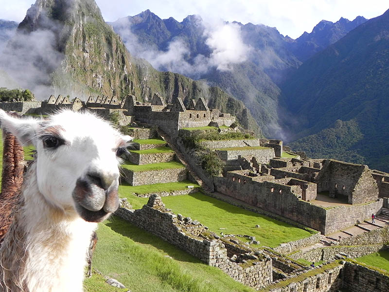Primeiro dia de roteiro em Machu Picchu