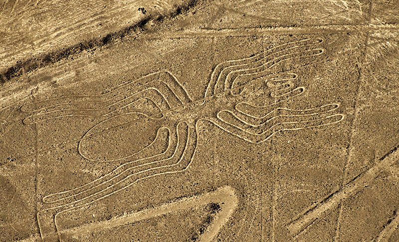 Formas das linhas de Nazca